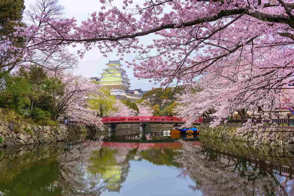 Explore Japan’s Best Destinations From Popular Cities to Hidden Treasures
