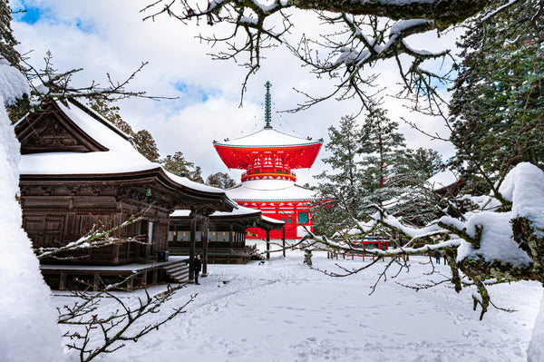 Destinasi Liburan Musim Dingin di Osaka dan Kyoto