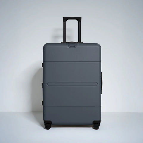 Check In Large Expandable 28 Inch