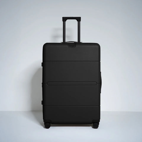 Check In Large Expandable 28 Inch