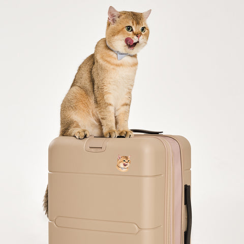 Pet Personalisasi