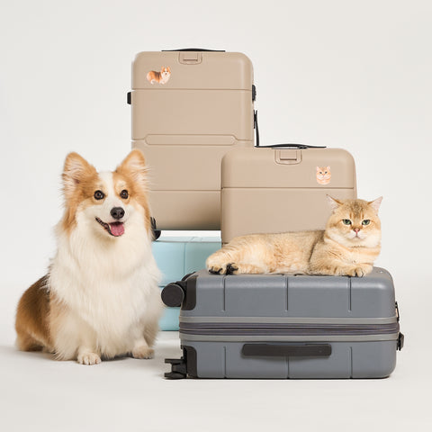 Pet Personalisasi